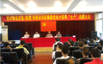 yd12399云顶集团集团庆祝建党九十周年“七一”表彰大会